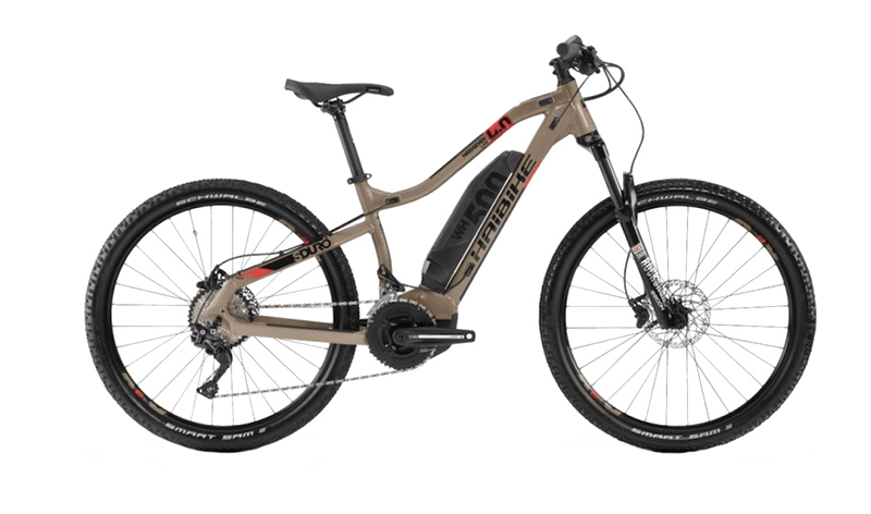 Front susp e-mtb fork 100mm - Bicicletta disponibile per noleggio